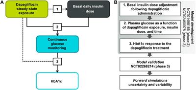 Effectiveness of dapagliflozin as an insulin adjunct in type 1 diabetes: a semi-mechanistic exposure-response model